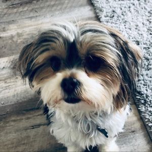 Meet your Posher, Brooke